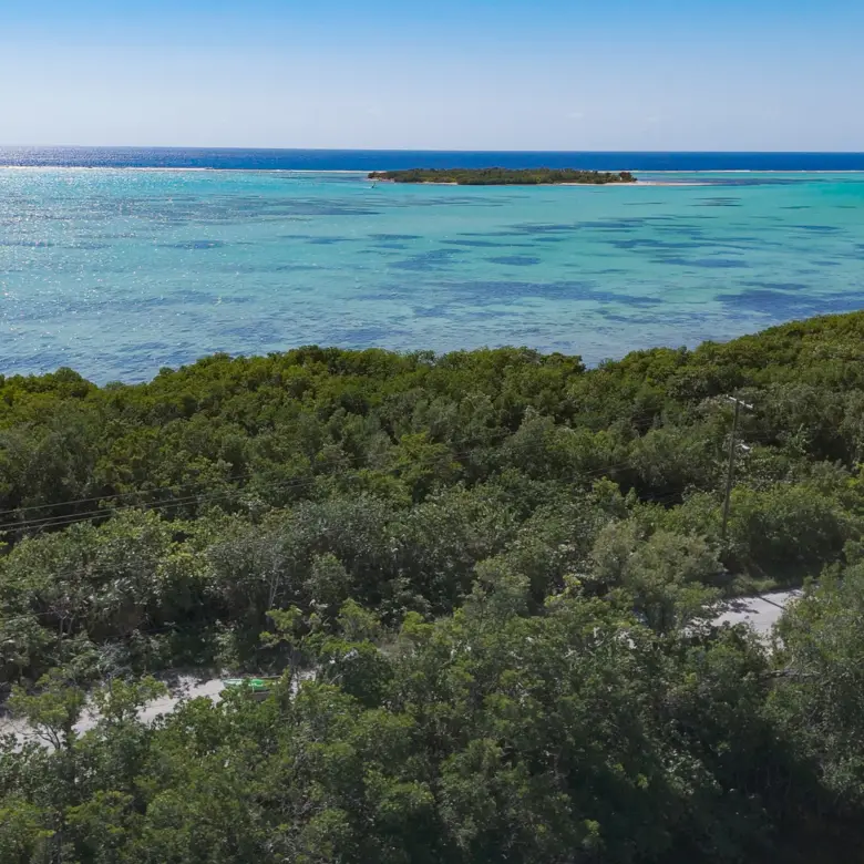 20260310145951 DJI 20260212150302 0853 D00 17 05 27Still047