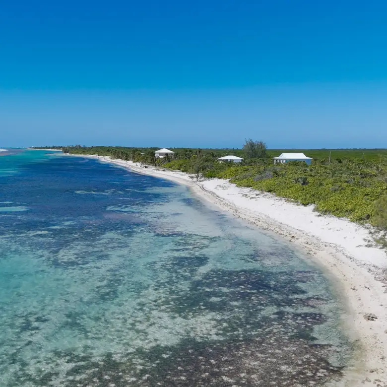 20260310162240 DJI 20260212150302 0853 D00 08 34 43Still023