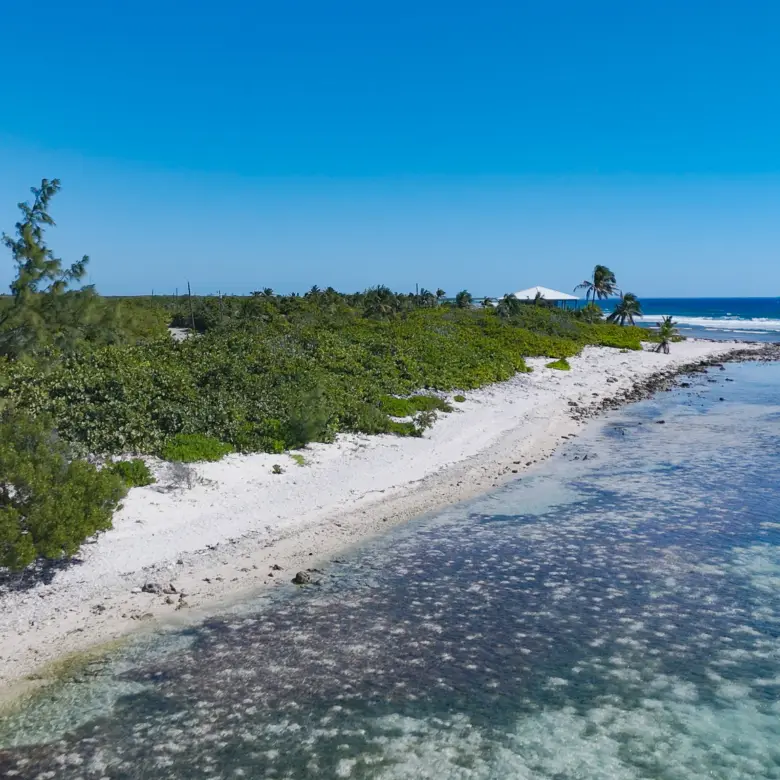 20260310162241 DJI 20260212150302 0853 D00 08 43 33Still024