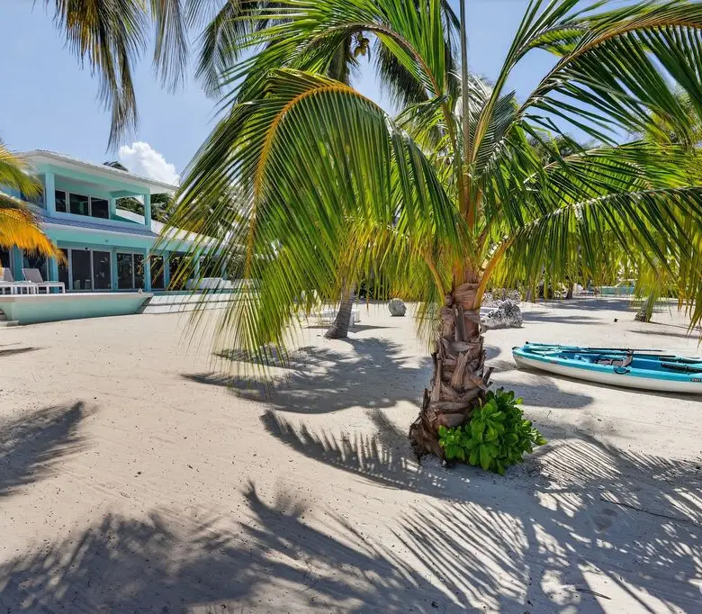 20260310153807 tjQzCOQ