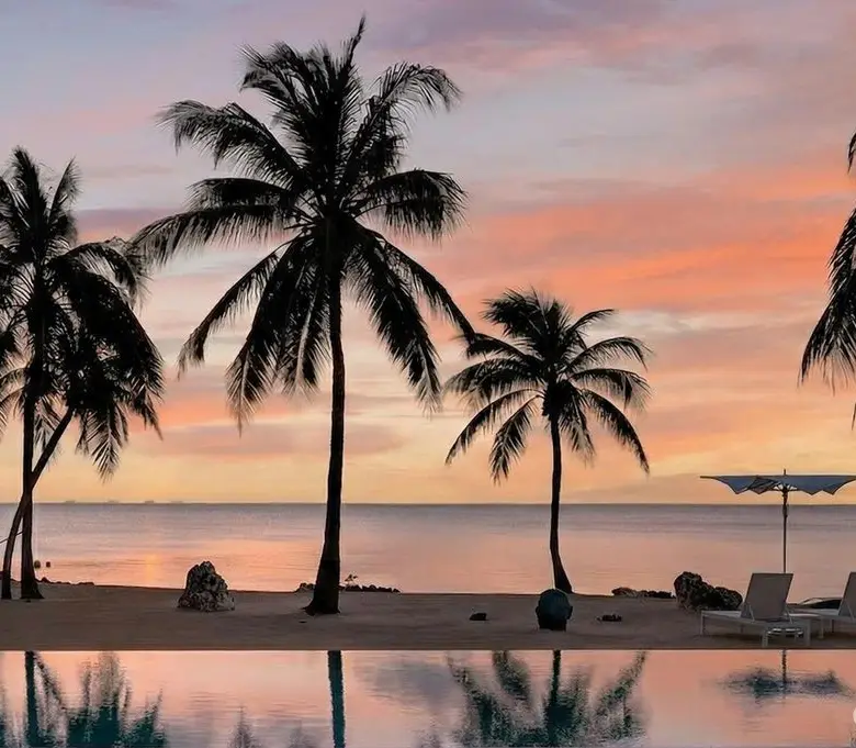 20260314115242 JP7AduYw