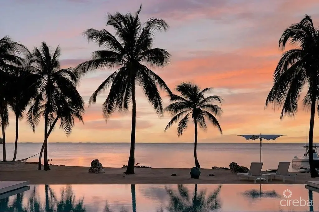 20260314115242 JP7AduYw