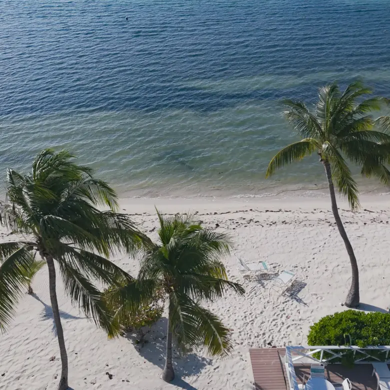 20260309125326 DJI 20260212150302 0853 D00 22 14 34Still053