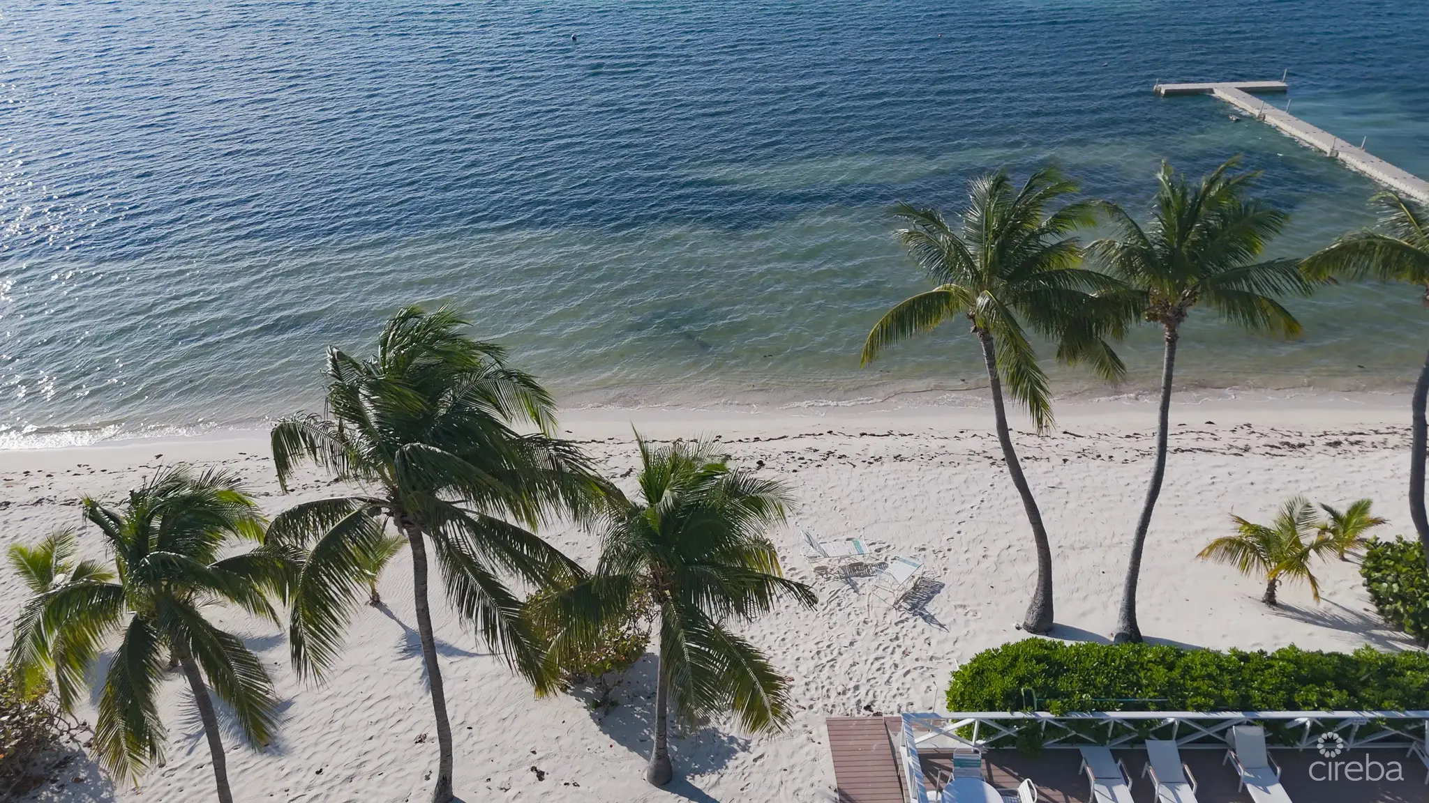 20260309125326 DJI 20260212150302 0853 D00 22 14 34Still053