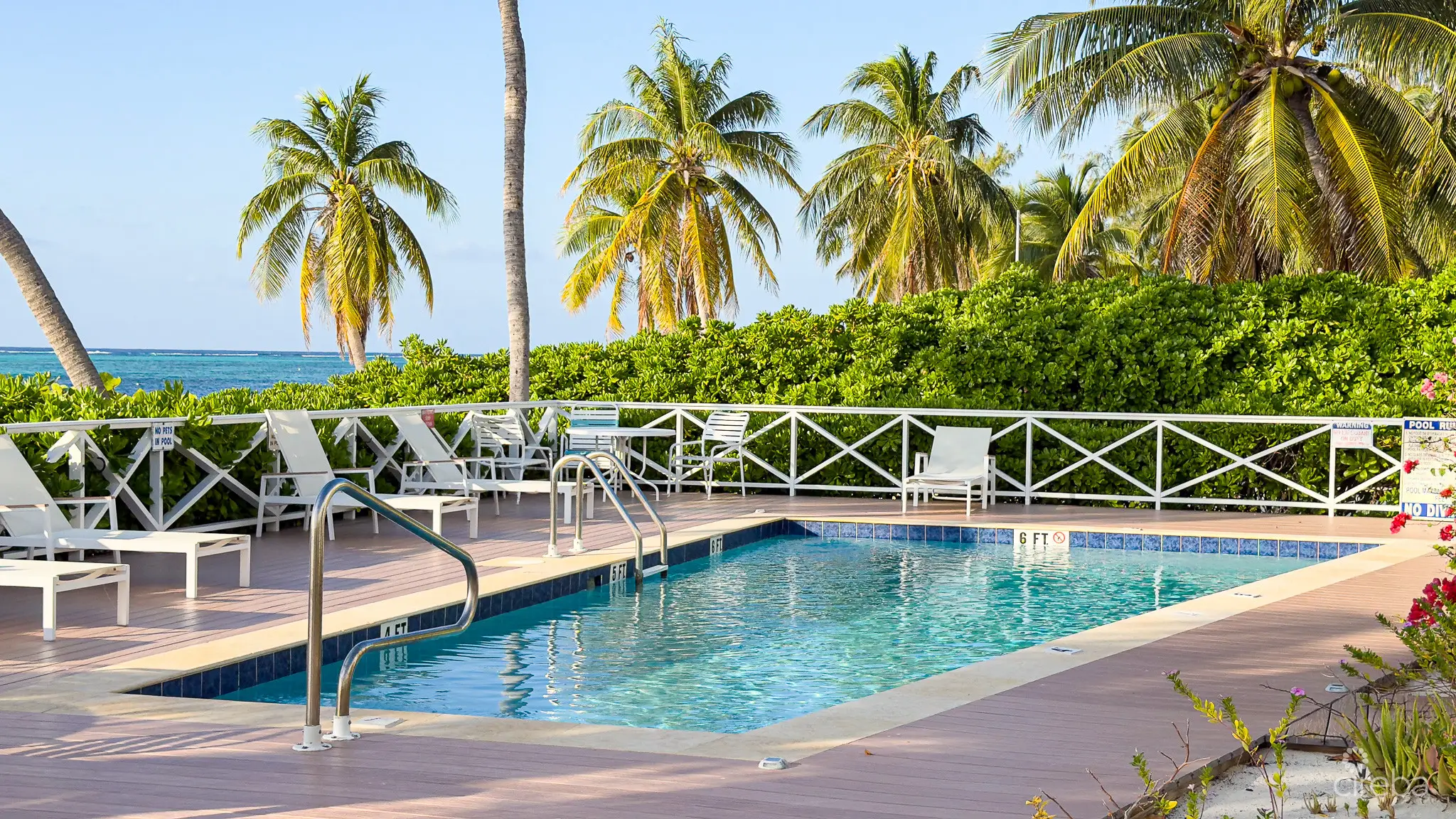 20260309125410 IMG 7119