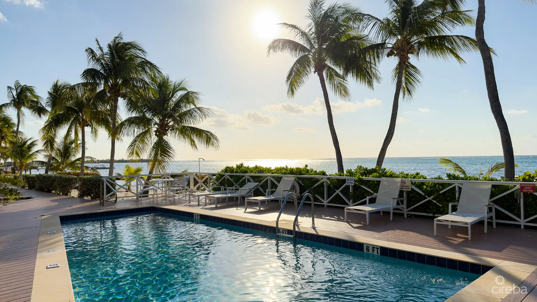 20260309125411 IMG 7136