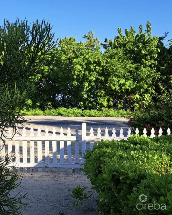 20260311113259 Screenshot 20260311 at 113117AM