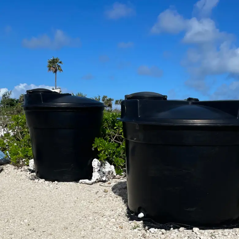 20260305121007 20260305120843 IMG