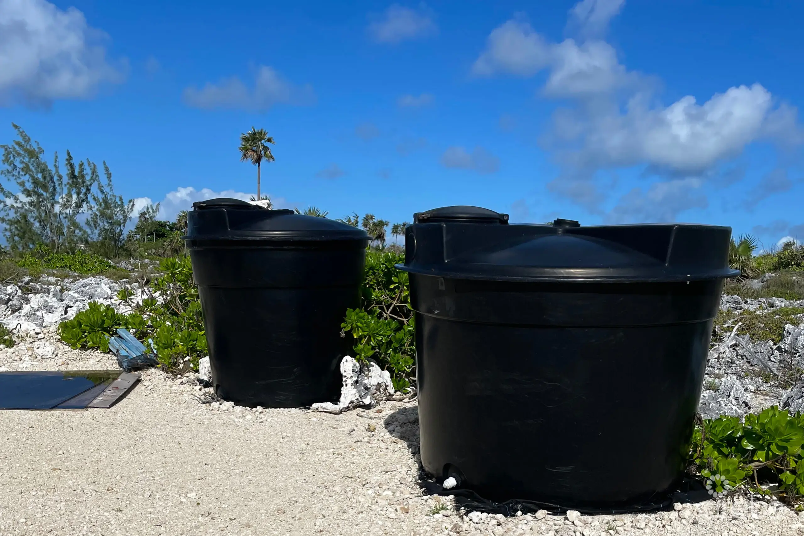 20260305121007 20260305120843 IMG