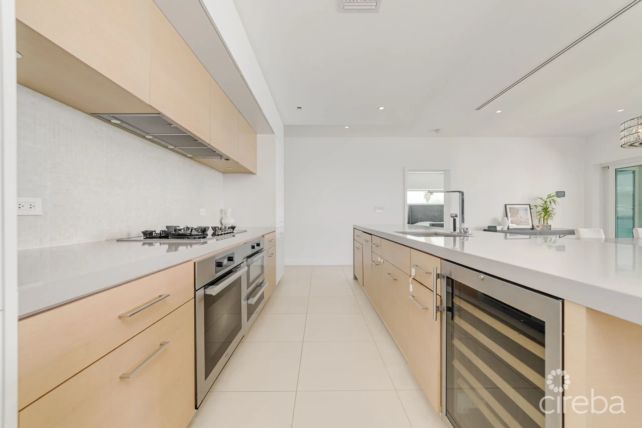 20260310121052 Oceana Unit