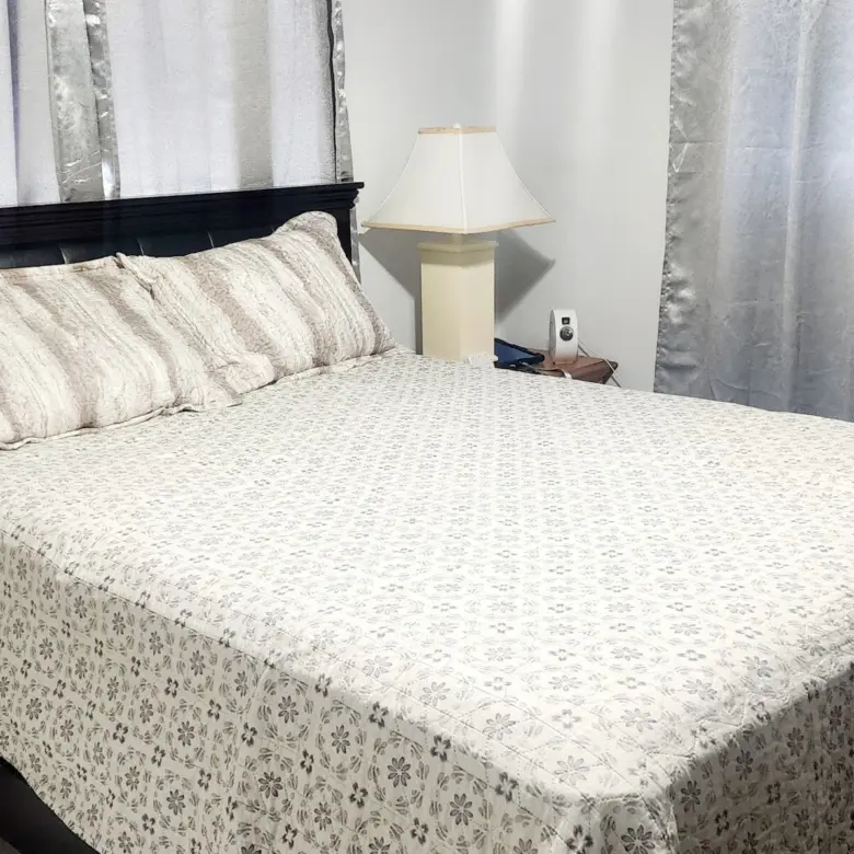 20260304122441 Lemon Breeze