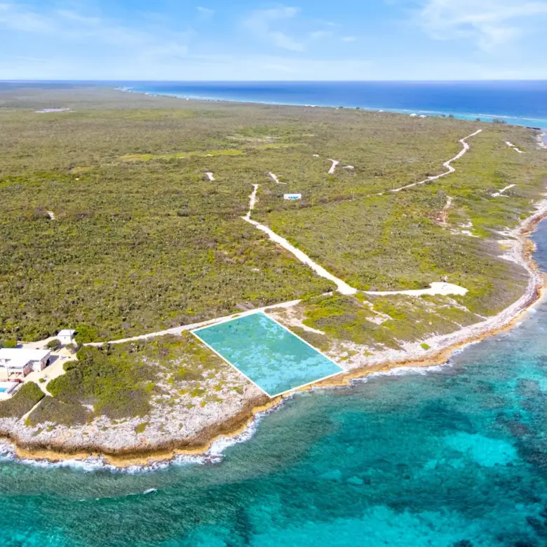 20260315192608 18 20260312dji 20260312221542 0010 deditpng