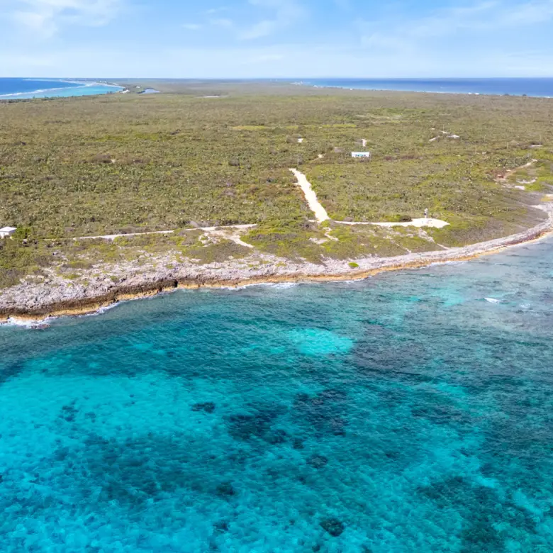 20260315192646 3 20260312dji 20260312222019 0019 d