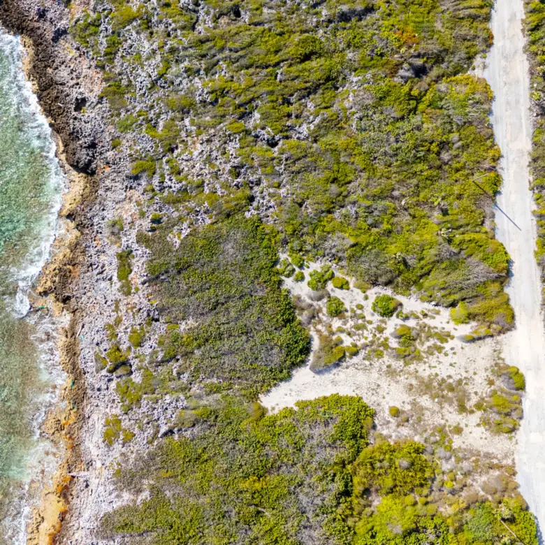 20260315192754 7 20260312dji 20260312221842 0014 d