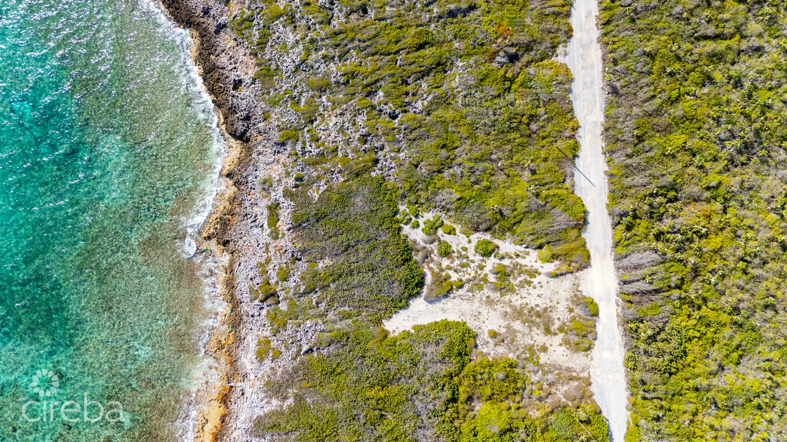 20260315192754 7 20260312dji 20260312221842 0014 d