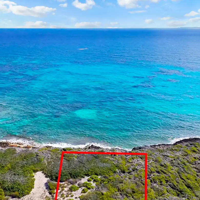 20260315192834 15 4 2026033222dji754