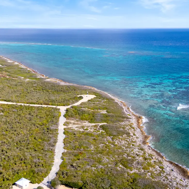 20260315193045 6 20260312dji 20260312221742 0012 d