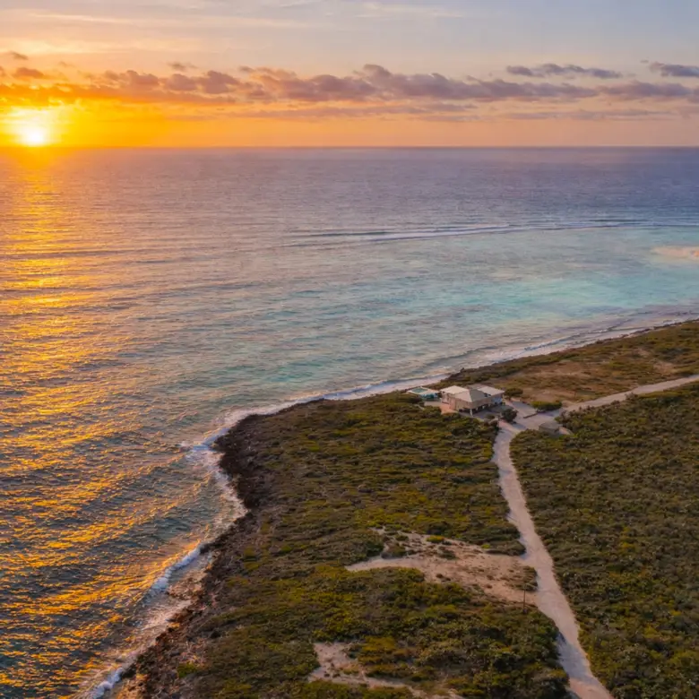 20260317143540 20260317 11 31 19 AM