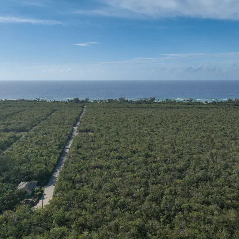 20260316184619 006 The Bluff development site Cayman Brac DJI