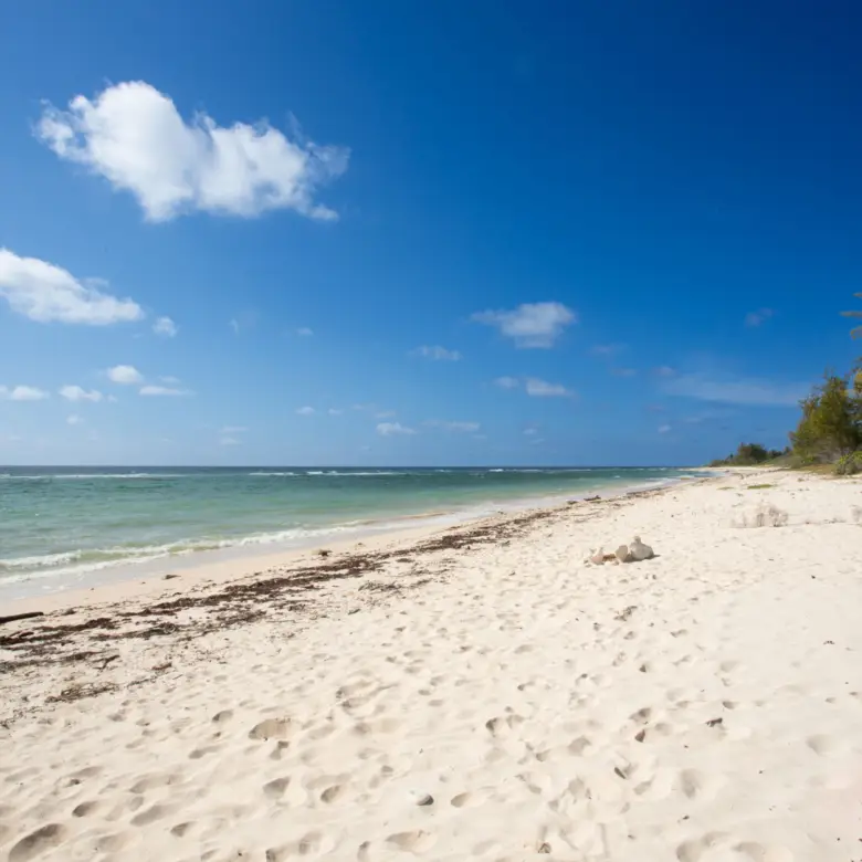 20260316184621 008 The Bluff development site Cayman Brac 2Y0A0045