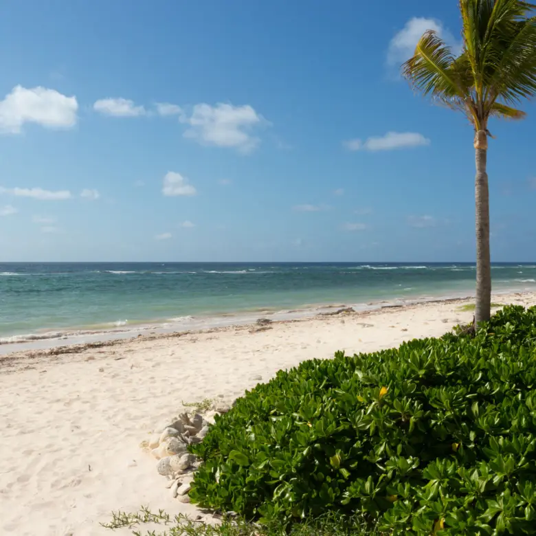 20260316184625 013 The Bluff development site Cayman Brac 2Y0A0052