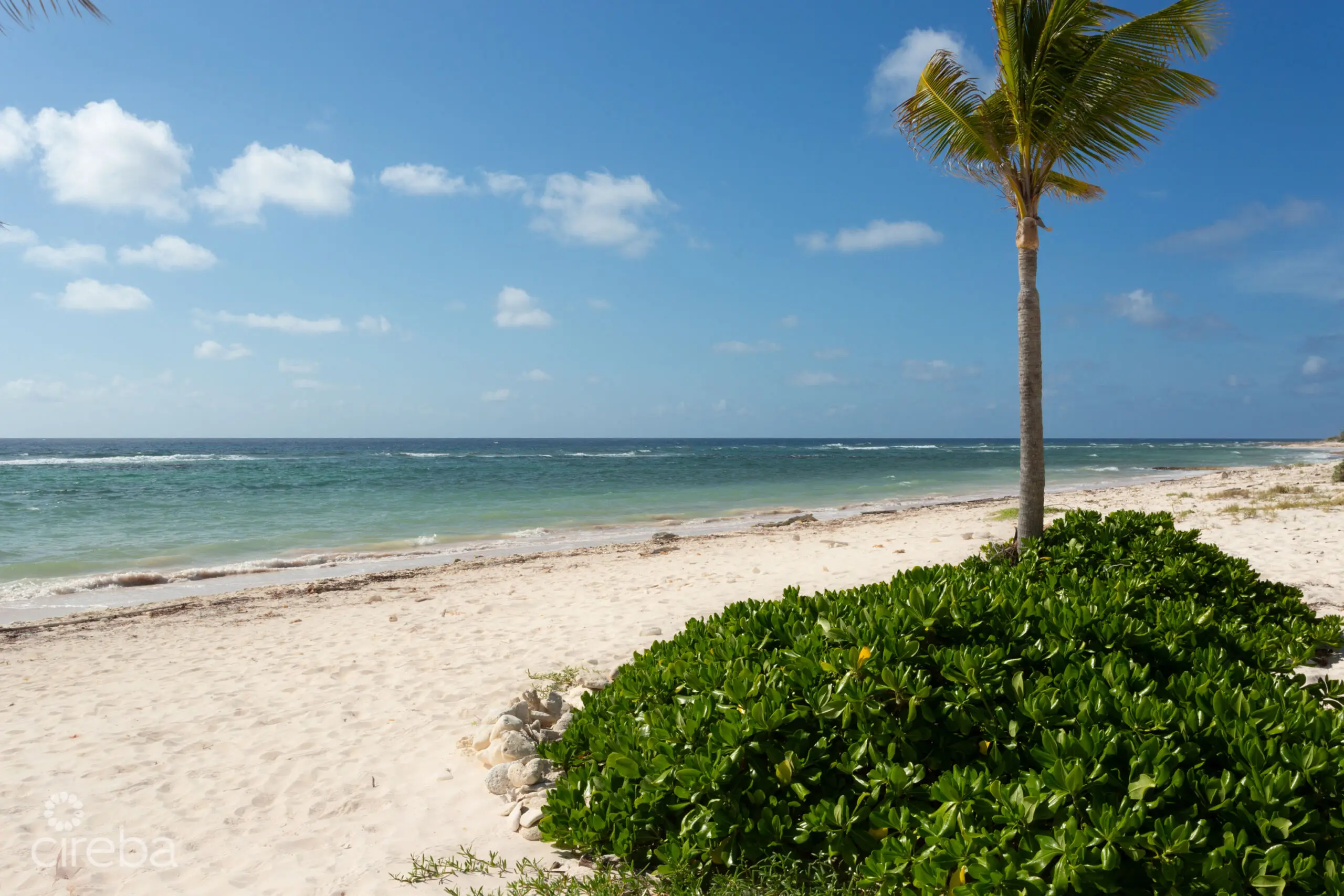 20260316184625 013 The Bluff development site Cayman Brac 2Y0A0052