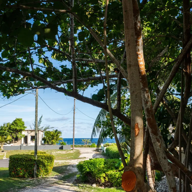 20260317171421 DSC04049