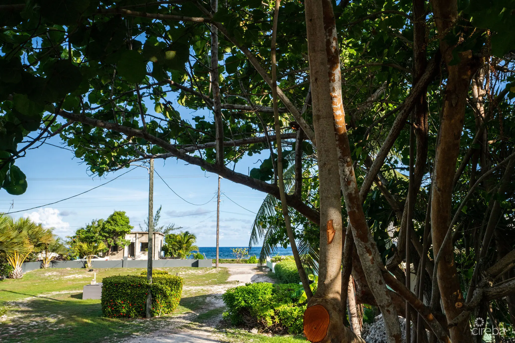 20260317171421 DSC04049