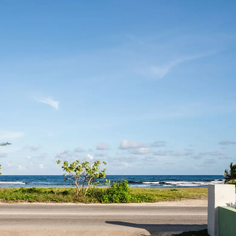 20260317171423 DSC04092