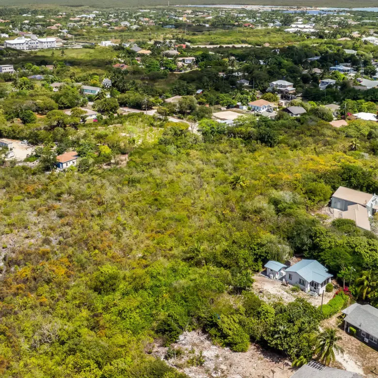 20260317171821 DJI 20260314113738 0704 D