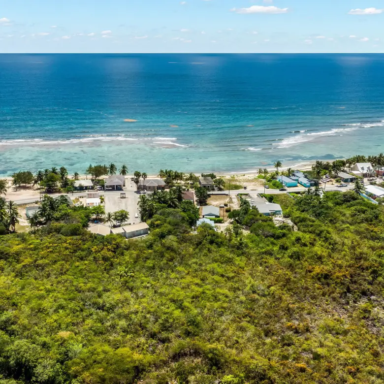 20260317171840 DJI 20260314114004 0724 D