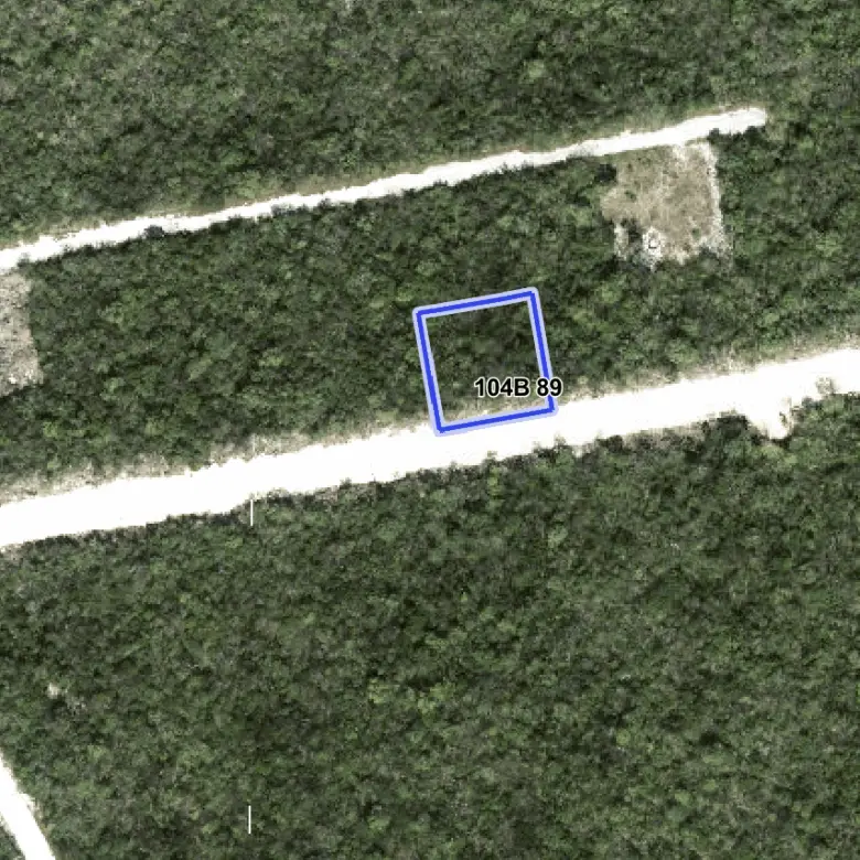 20260318133026 AERIAL VIEW CAYMAN BRAC LAND