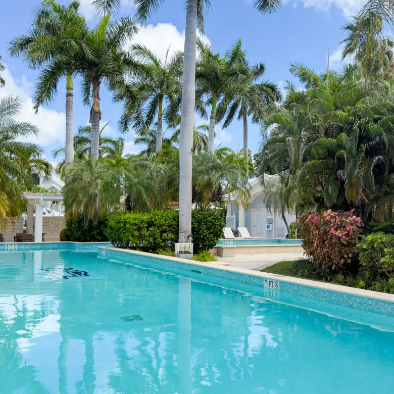 20260318140922 IMG 9168Edit