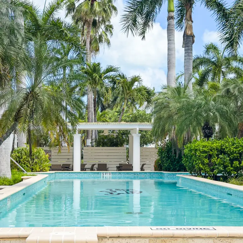 20260318140922 IMG 9174Edit