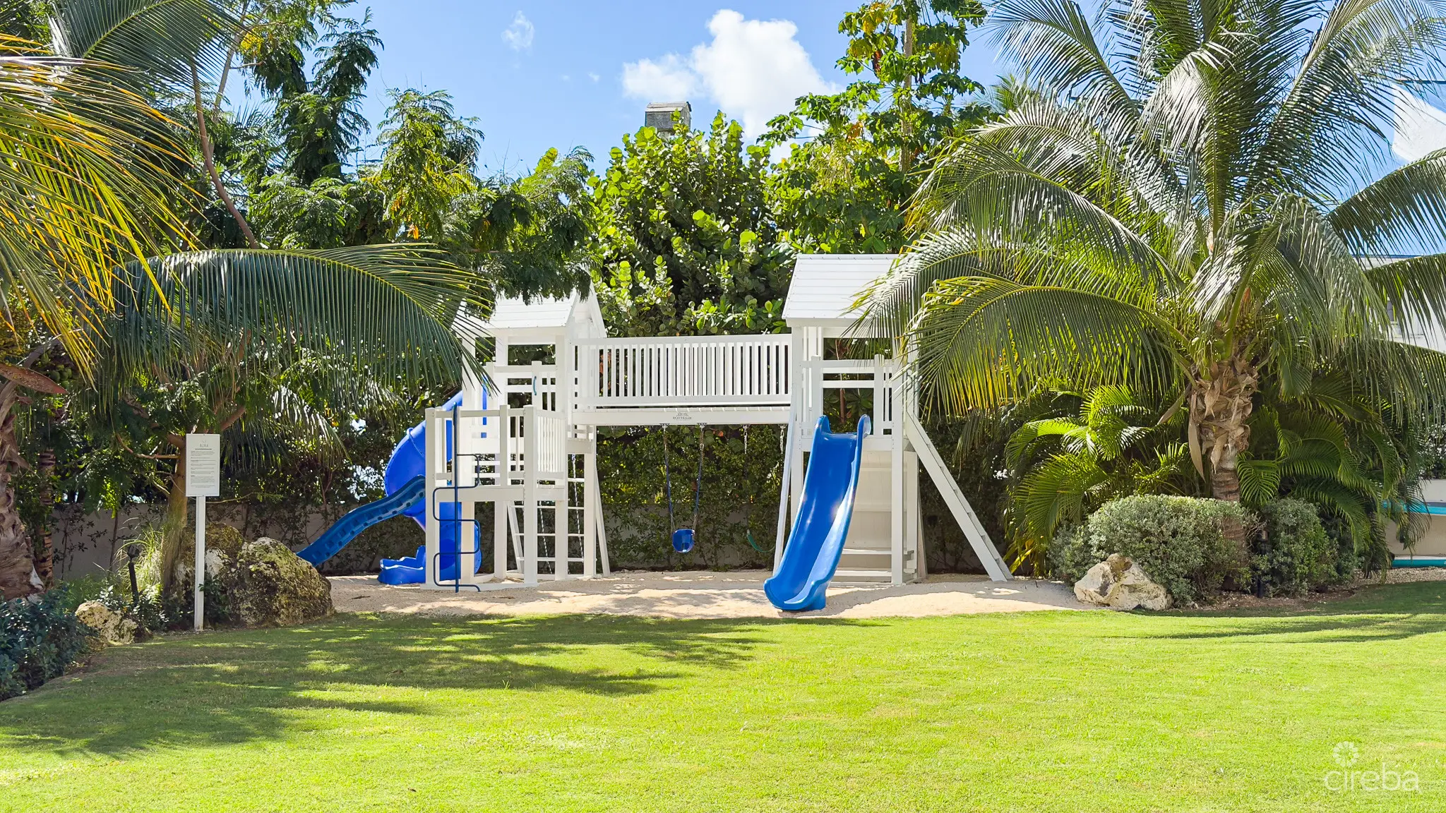 20260319142253 IMG 4627