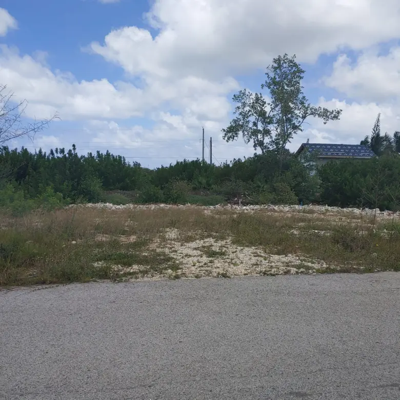 20260320145802 Lot pic