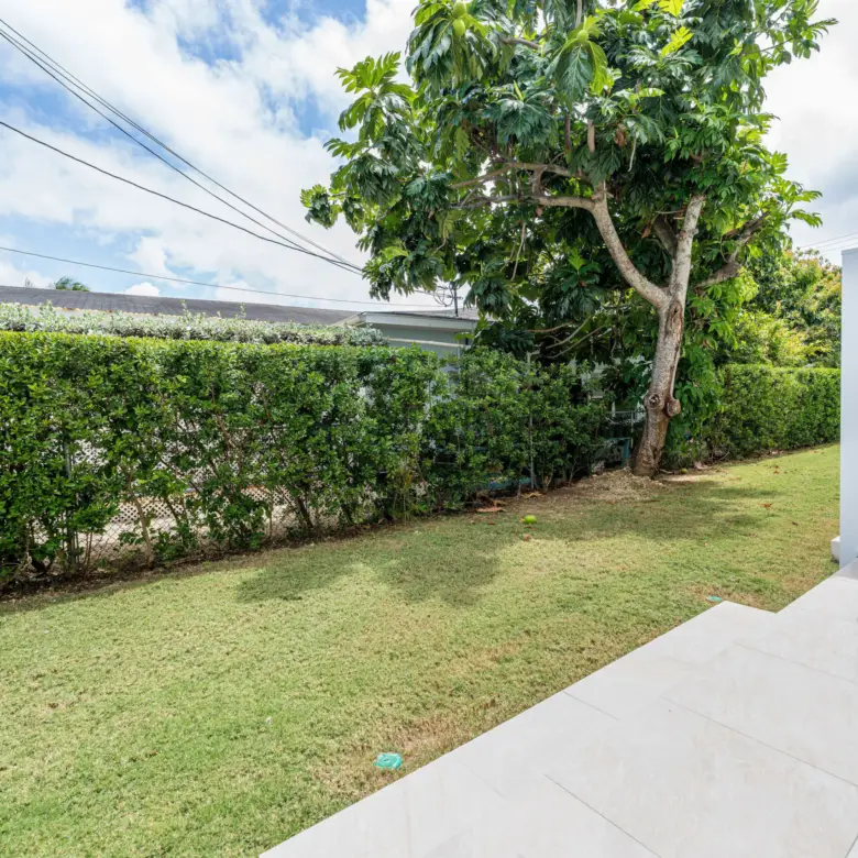 20260323094517 DSC02991