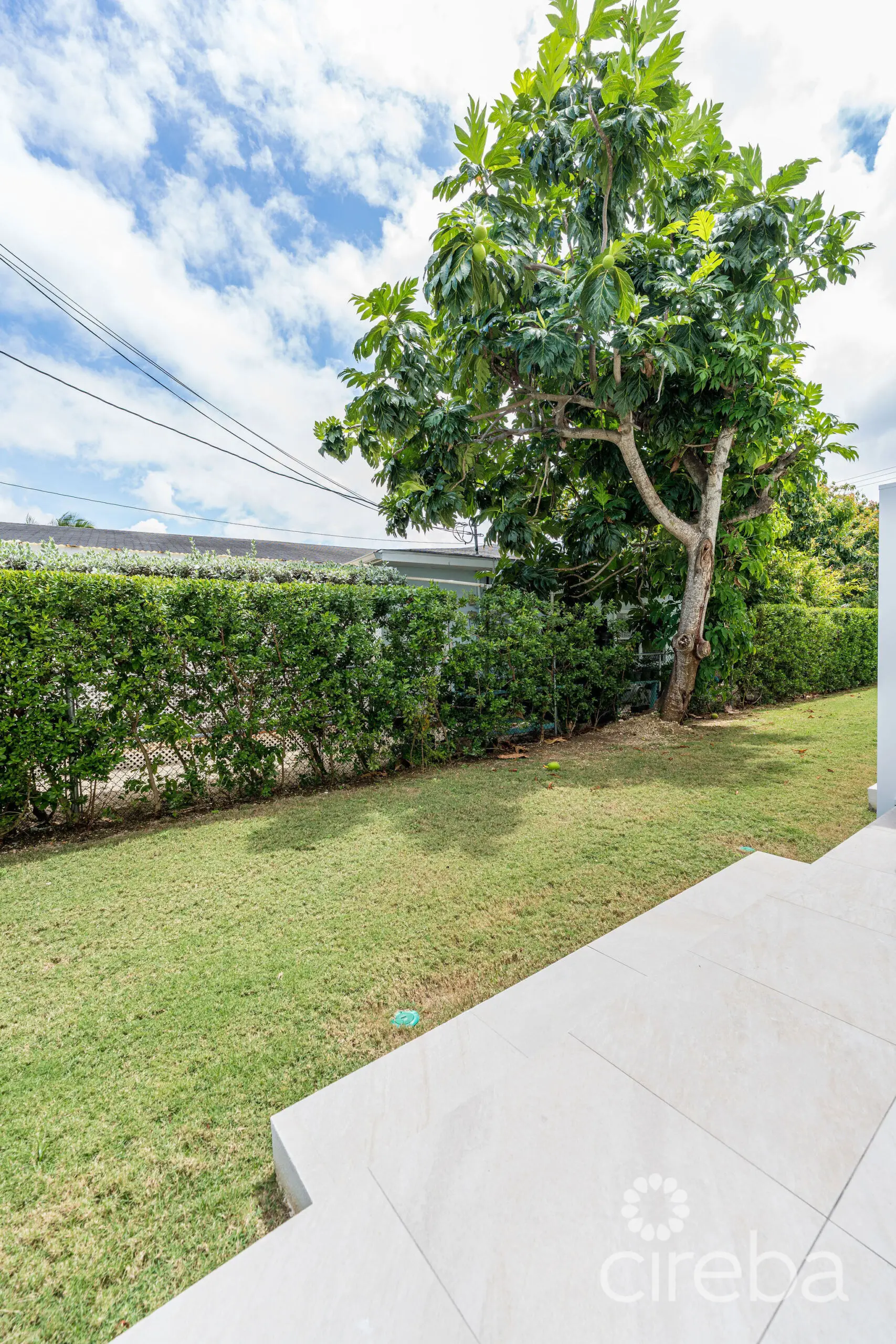 20260323094517 DSC02991