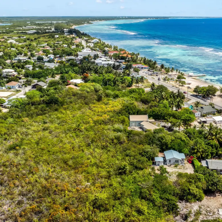 20260324151317 DJI 20260314113754 0709 D