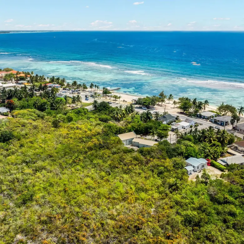 20260324151318 DJI 20260314113812 0714 D