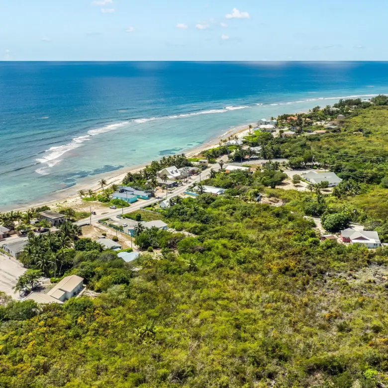 20260324151319 DJI 20260314114032 0729 D