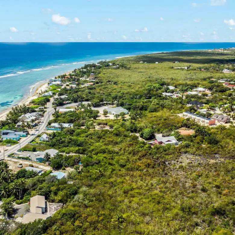 20260324151320 DJI 20260314114049 0734 D