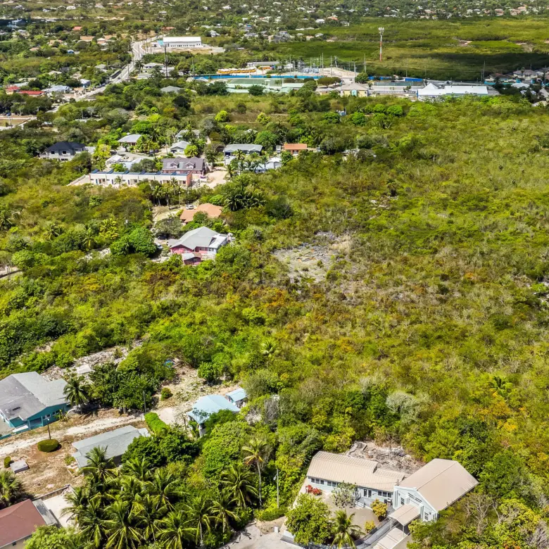 20260324151321 DJI 20260314114119 0744 D