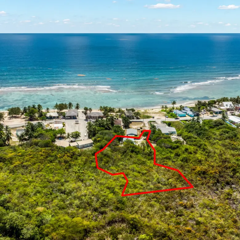 20260324152150 DJI 20260314114004 0724 DEdit