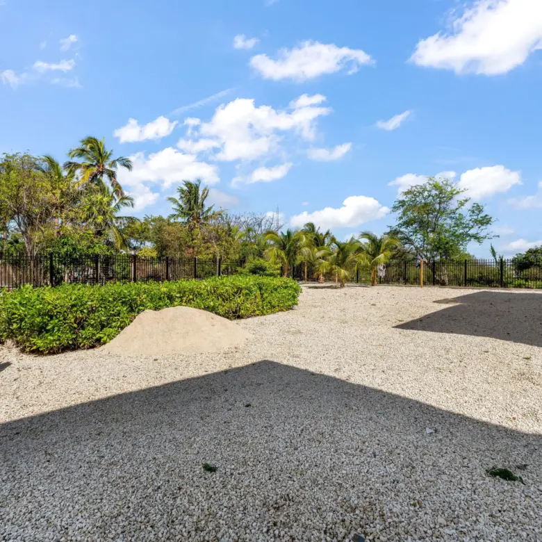 20260413094723 DSC04777