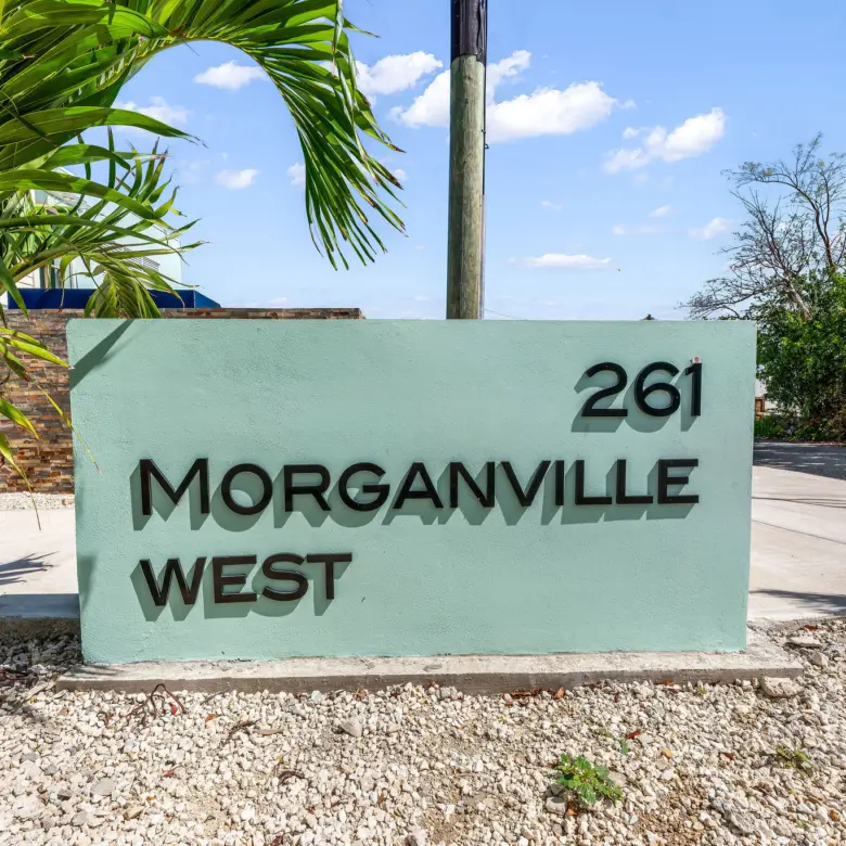 20260413094740 DSC04797