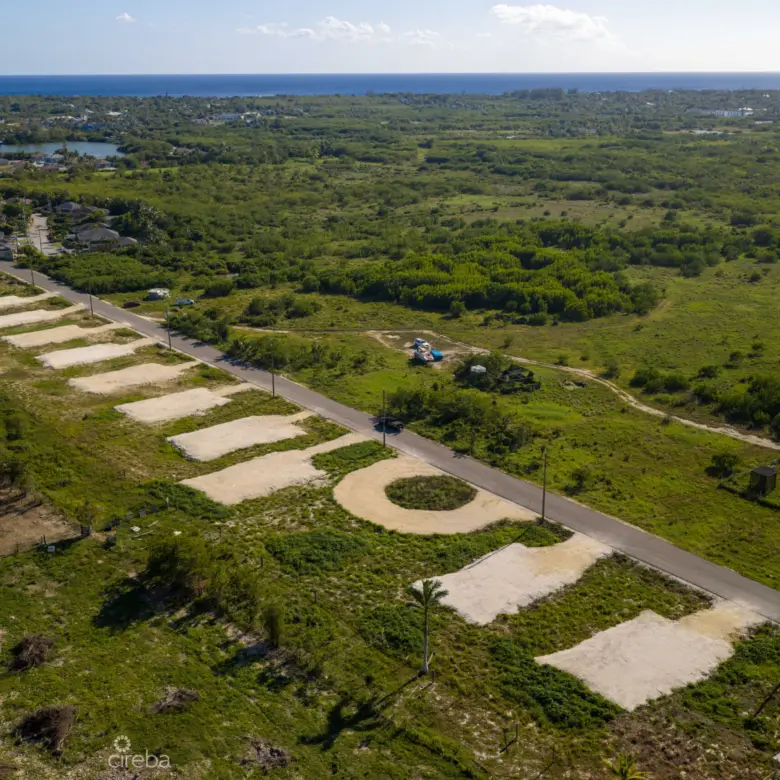 20260221193354 DJI 20260212150043 0349 DHDR