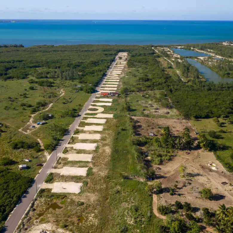 20260221193419 DJI 20260212150208 0364 DHDR