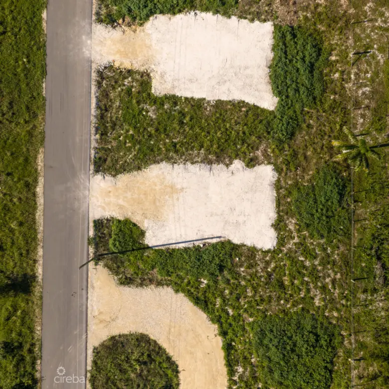 20260221193434 DJI 20260212150348 0373 DHDR