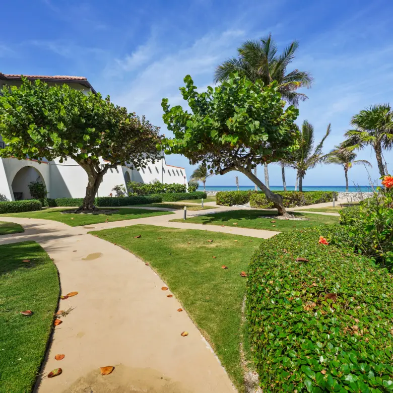 20260320152112 VP 20 rental